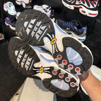 Nike Air Max Plus TN 'Aluminium' (Second hand)
