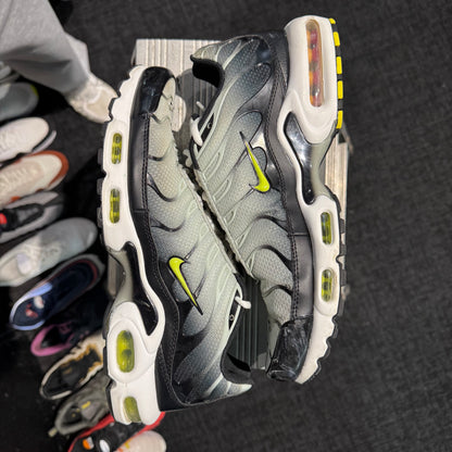 Nike Air Max Plus TN 'Bright Catus' (Second hand)