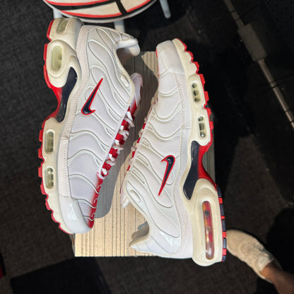 Nike Air Max Plus TN 'Bloodline' (Second hand)