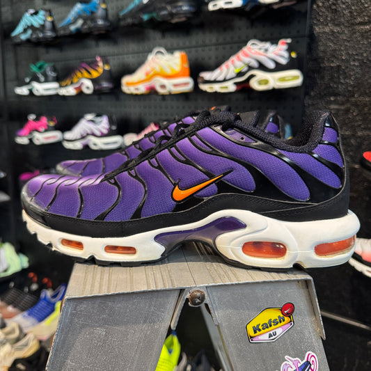 Nike Air Max Plus 'TN' Purple Voltage (Second hand)