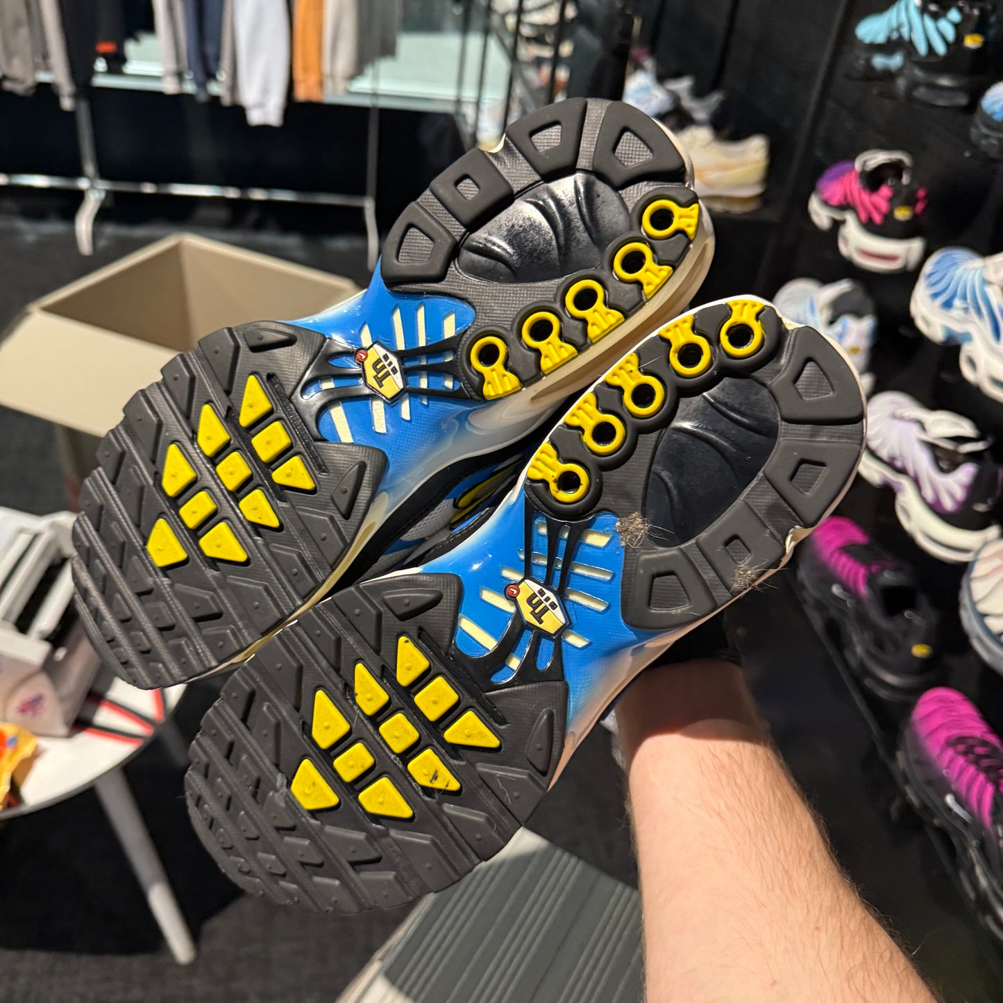 Nike Air Max Plus 'TN' Paradise 2015 (Second hand)