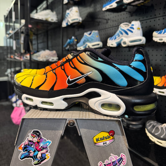 Nike Air Max Plus TN 'Impact' (Second hand)