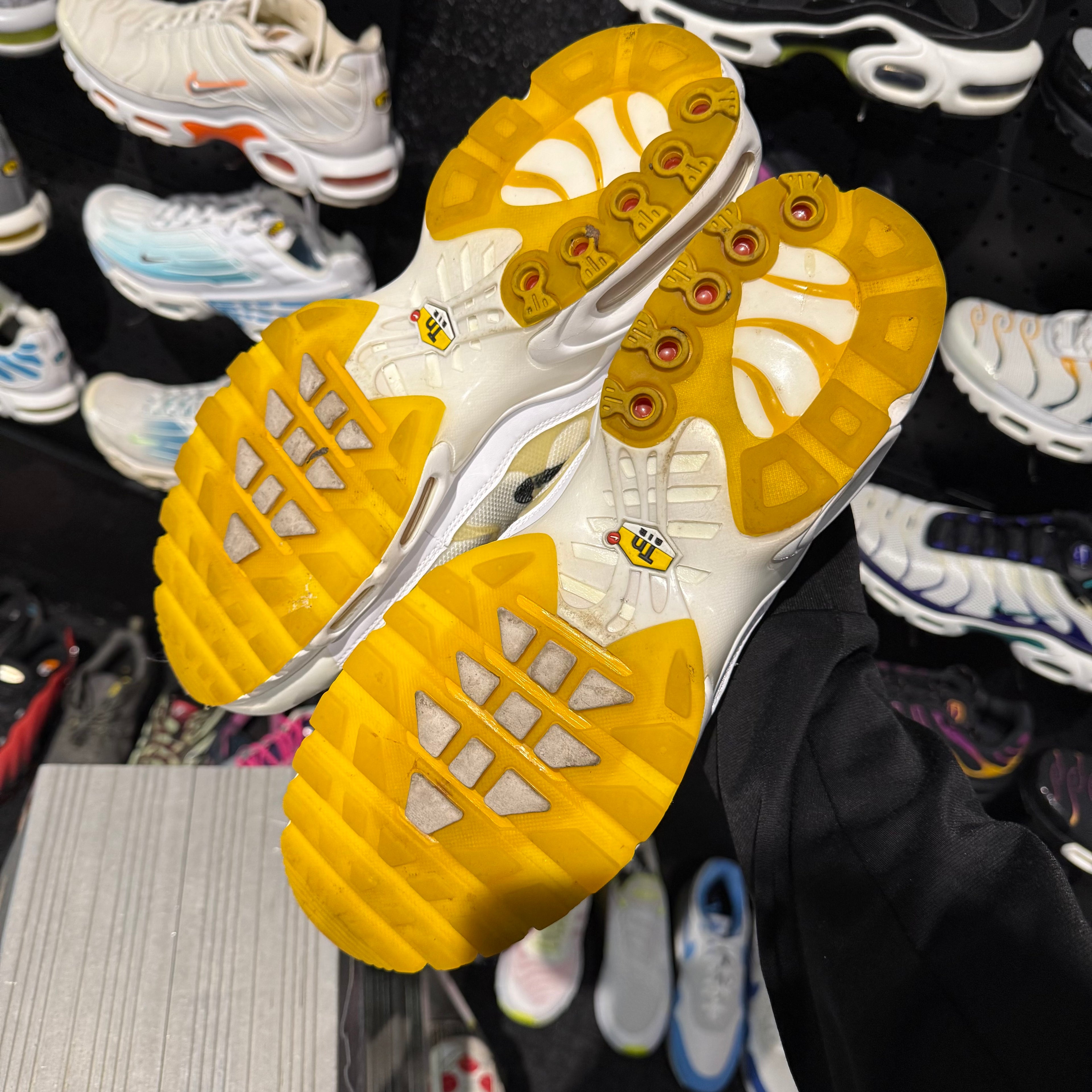 Nike Air Max Plus TN 'Frank Rudy' (Second hand)