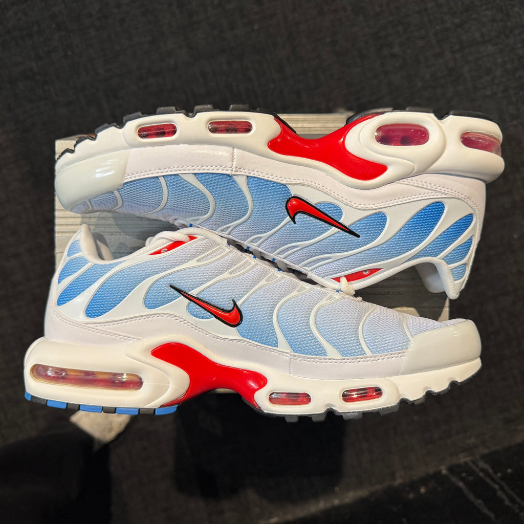 Nike Air Max Plus TN 'Tide' (Brand New)