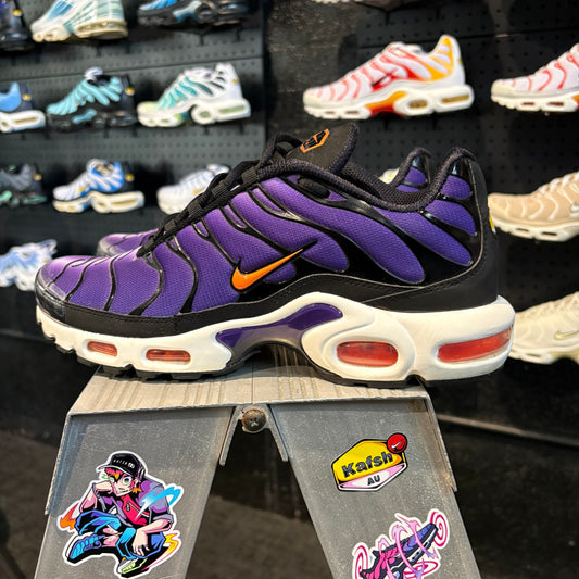 Nike Air Max Plus TN 'Purple Voltage' (Second hand)