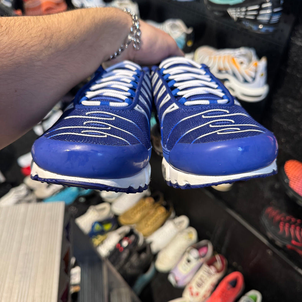 Nike Air Max Plus TN 'Arctic Chill' (Brand New)