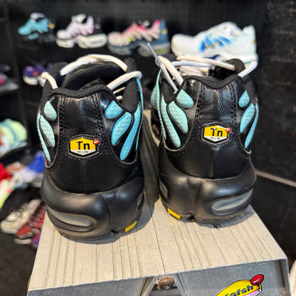 Nike Air Max Plus TN 'Dark Tiffany' 2020 (Second hand)