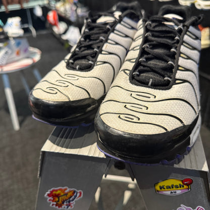 Nike Air Max Plus 'TN' Persian Violet (Second hand)