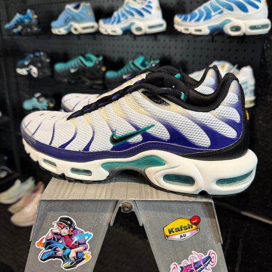 Nike Air Max Plus TN 'Grape Ice' (Second hand)