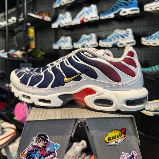 Nike Air Max Plus TN 'PSG' (Second hand)