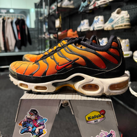 Nike Air Max Plus TN 'Tiger 2018' (Second hand)