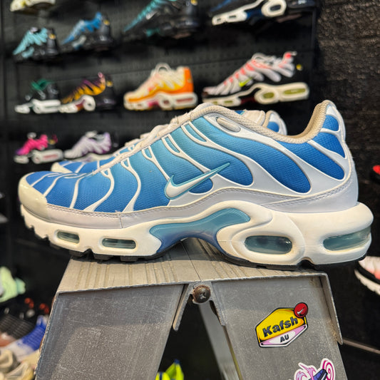 Nike Air Max Plus 'TN' Battle Blue (Second hand)