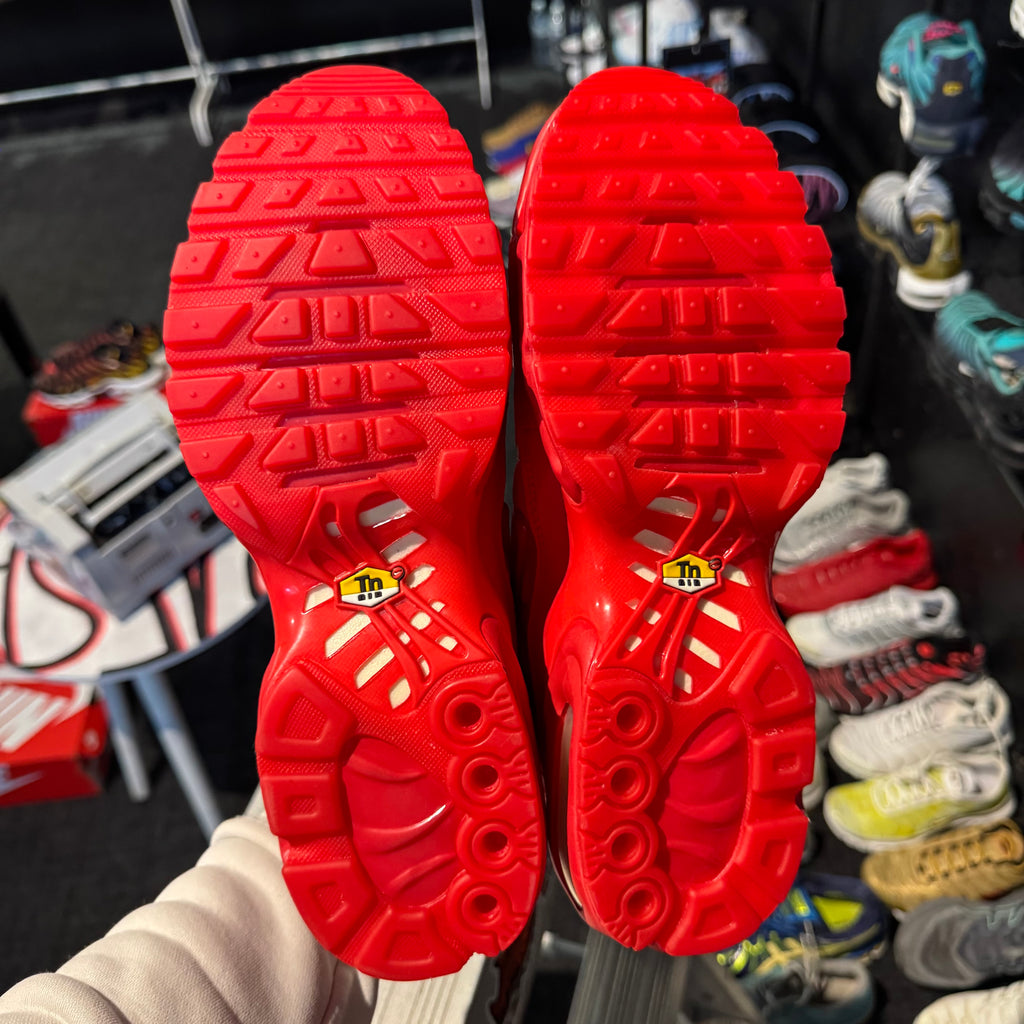 Nike Air Max Plus TN 'Rejuvinate' (Brand New)