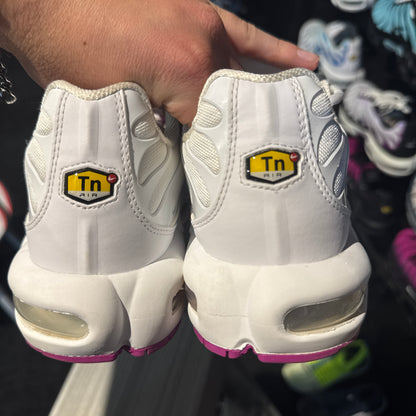 Nike Air Max Plus 'TN' Lotus (Second hand)