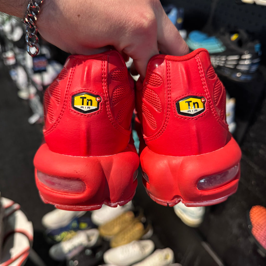 Nike Air Max Plus TN 'Lava' (Brand New)