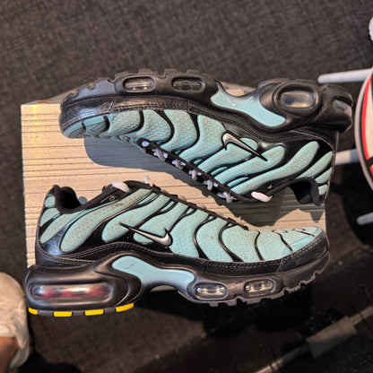 Nike Air Max Plus TN 'Dark Tiffany' (Second hand)