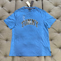 Tommy Hilfiger Regular Fit Arch Logo Tshirt 'Blue White'
