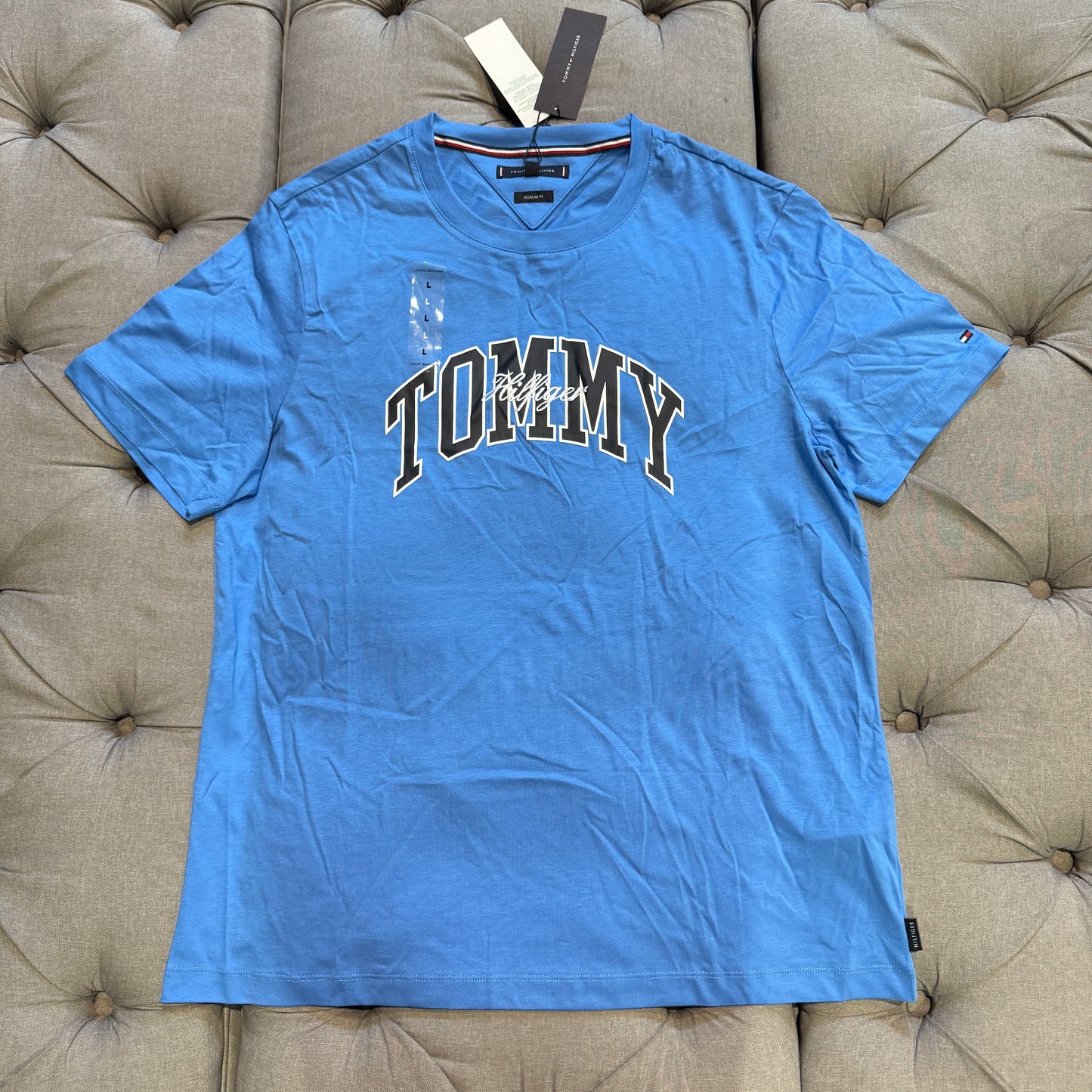 Tommy Hilfiger Regular Fit Arch Logo Tshirt 'Blue White'