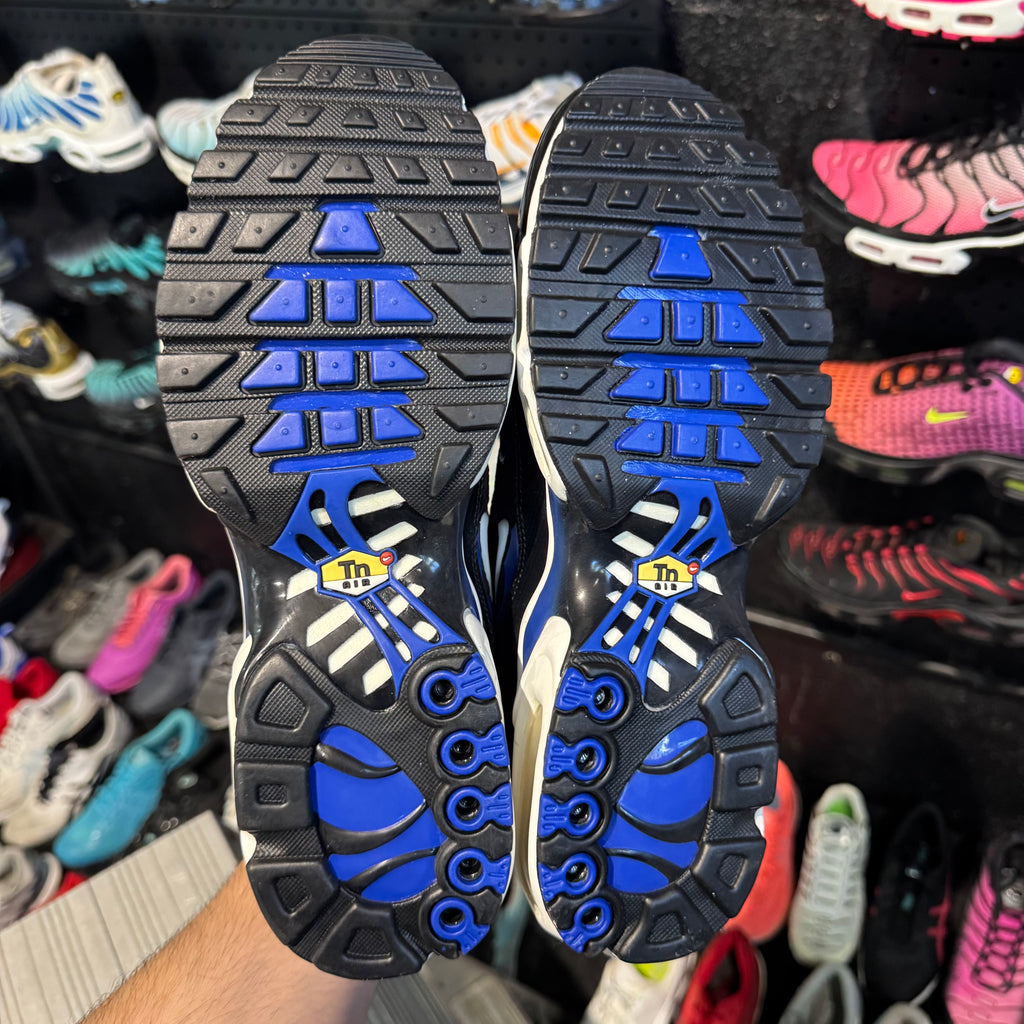 Nike Air Max Plus TN 'Racer Blue' (Brand New)