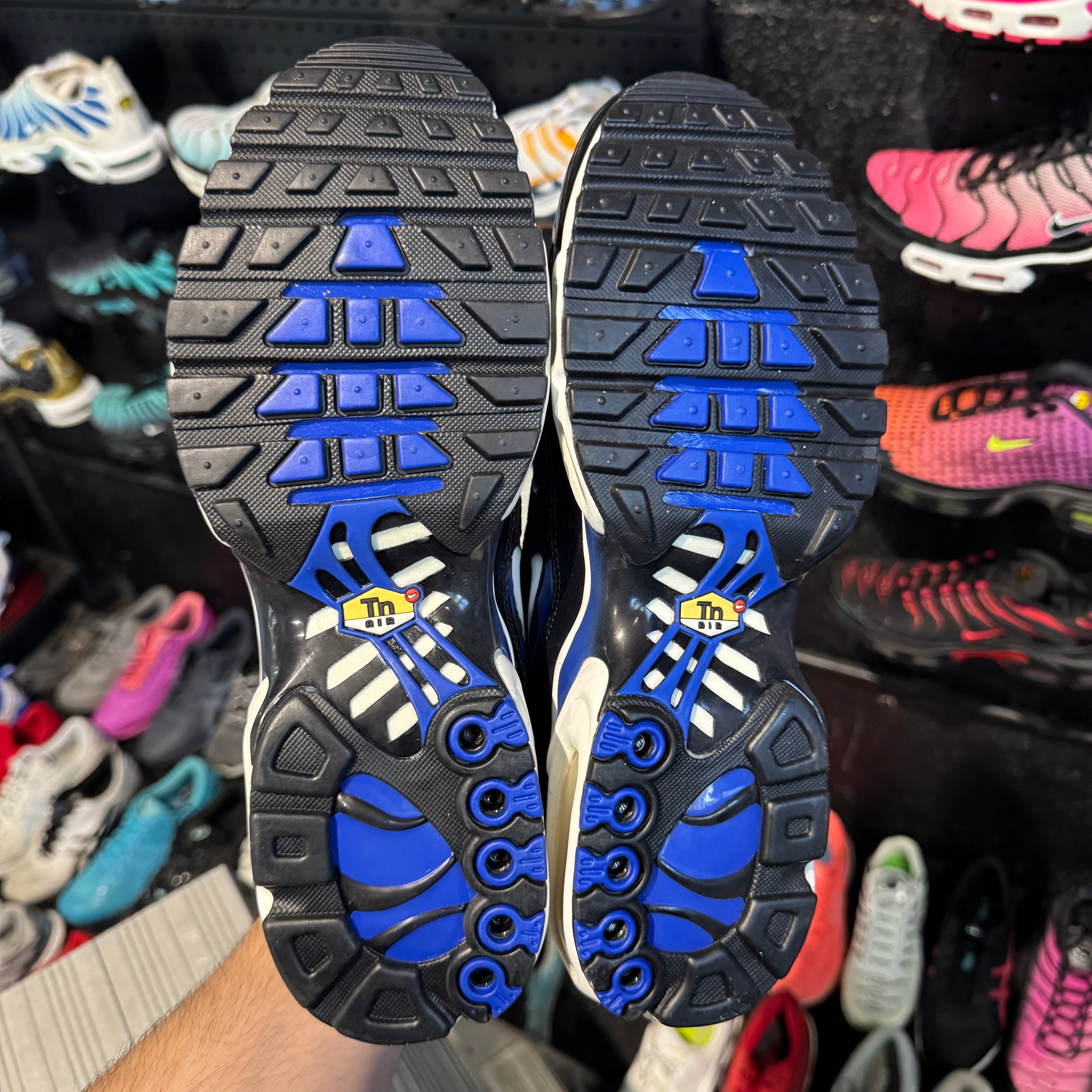 Nike Air Max Plus TN 'Racer Blue' (Brand New)