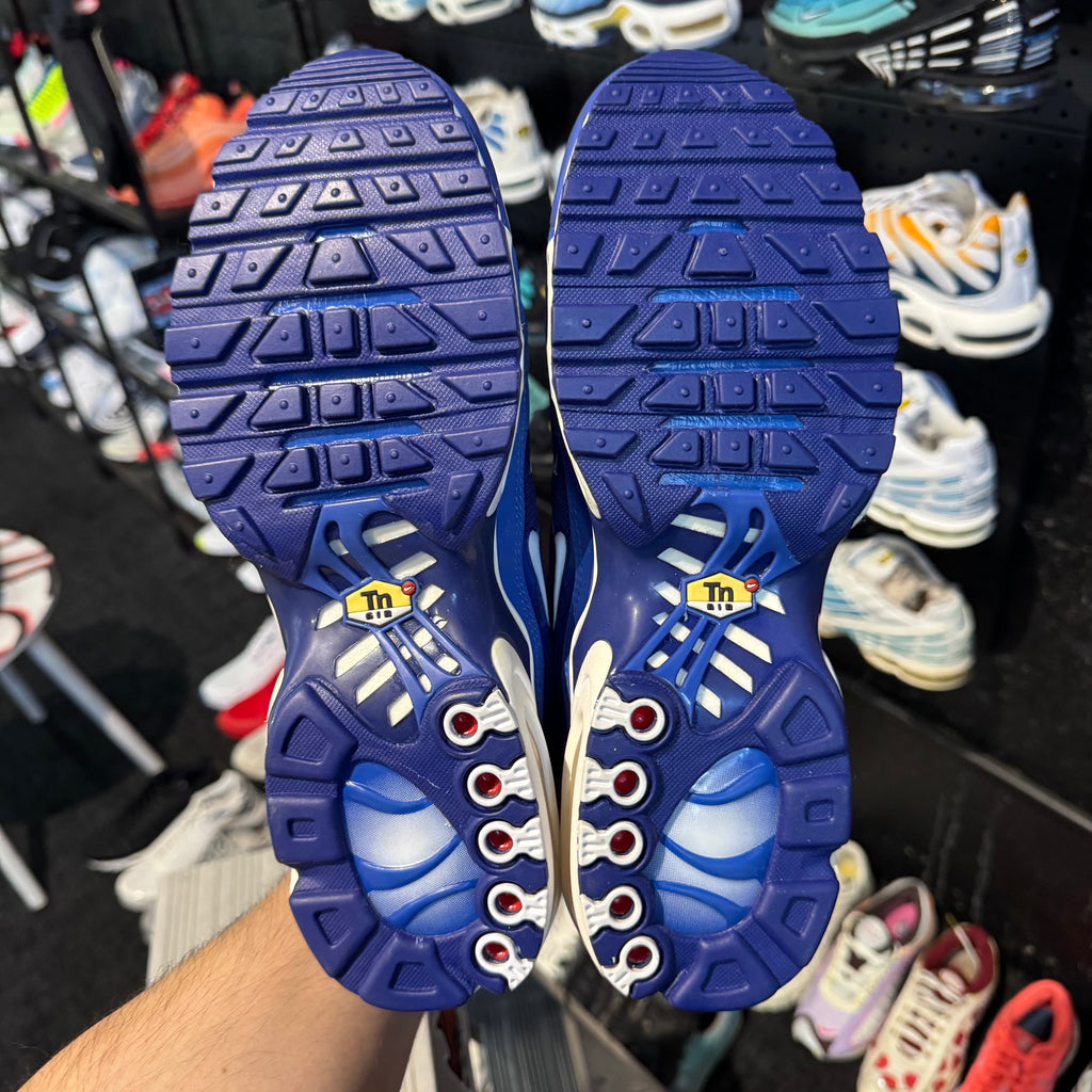 Nike Air Max Plus TN 'Arctic Chill' (Brand New)