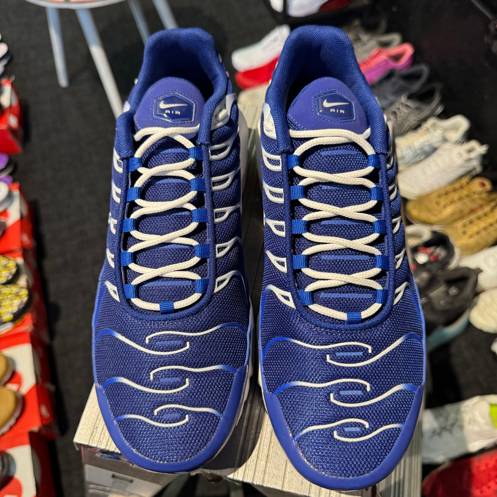 Nike Air Max Plus TN 'Arctic Chill' (Brand New)