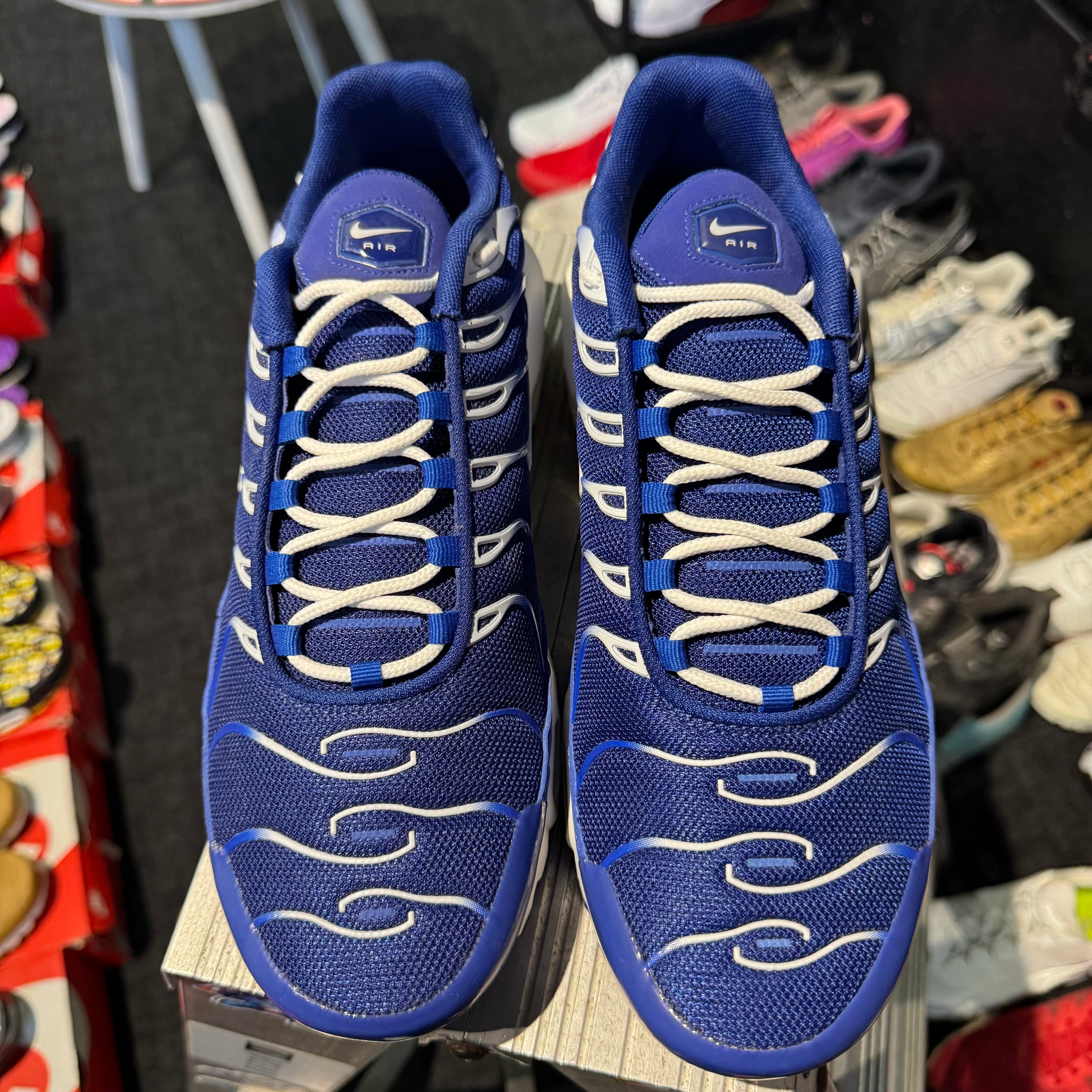 Nike Air Max Plus TN 'Arctic Chill' (Brand New)