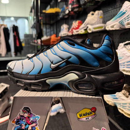 Nike Air Max Plus TN 'Neptune' (Second hand)