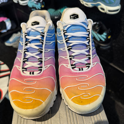 Nike Air Max Plus TN 'Summer Gradient' (Second hand)