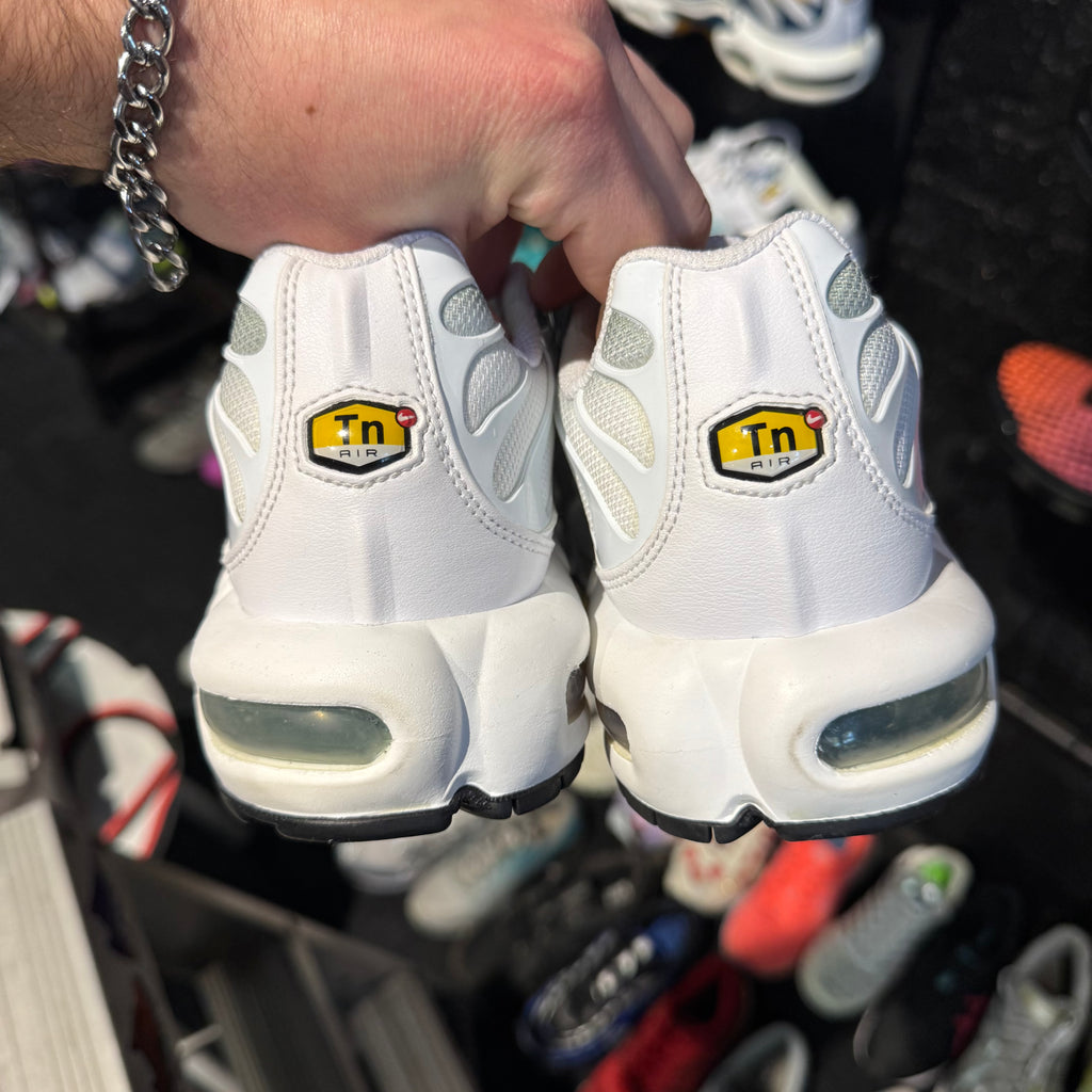 Nike Air Max Plus TN 'Mica Green' (Brand New)
