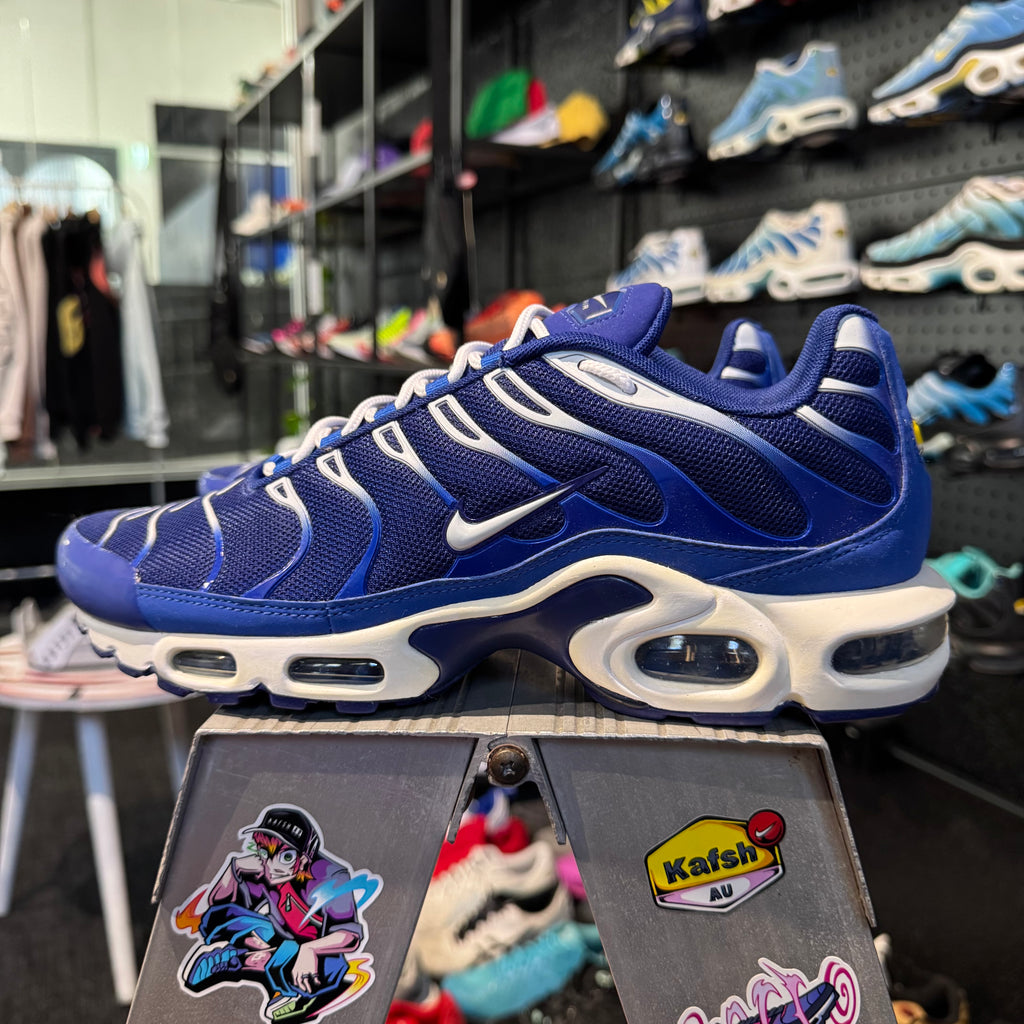 Nike Air Max Plus TN 'Arctic Chill' (Brand New)