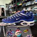 Nike Air Max Plus TN 'Arctic Chill' (Brand New)