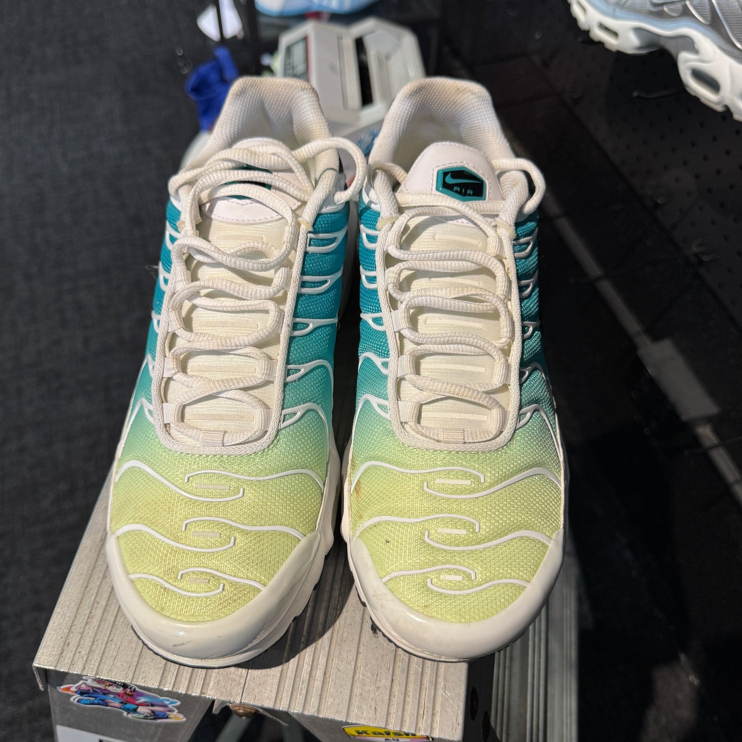 Nike Air Max Plus TN 'Dusty Cactus' (Second hand)