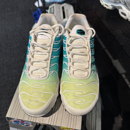 Nike Air Max Plus TN 'Dusty Cactus' (Second hand)