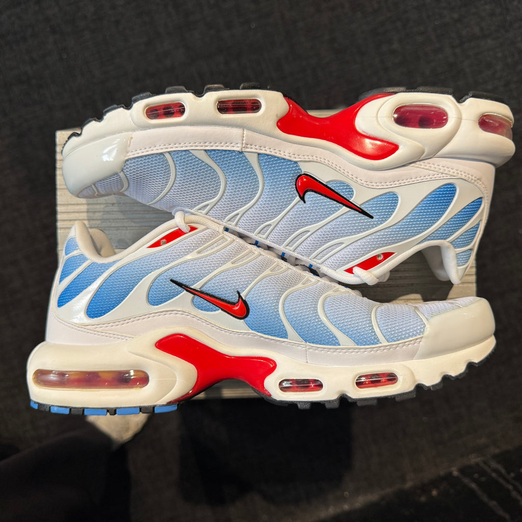Nike Air Max Plus TN 'Tide' (Brand New)