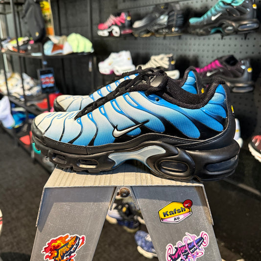 Nike Air Max Plus 'TN' Neptune (Second hand)