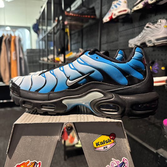 Nike Air Max Plus 'TN' Neptune (Second hand)