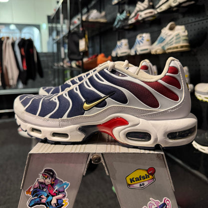 Nike Air Max Plus TN 'PSG' (Second hand)