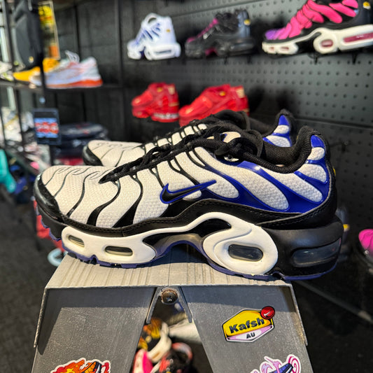 Nike Air Max Plus 'TN' Persian Violet (Second hand)