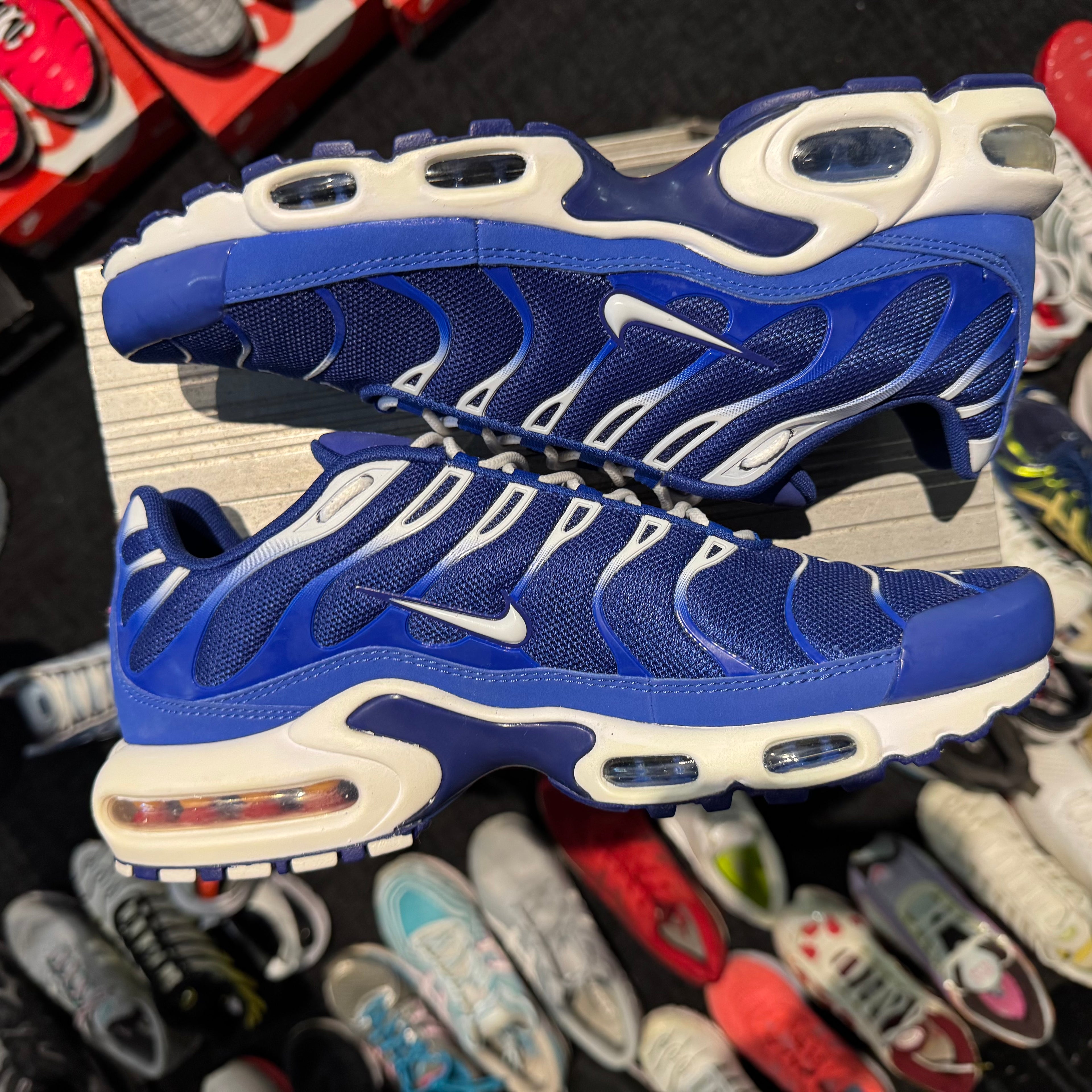 Nike Air Max Plus TN 'Arctic Chill' (Brand New)