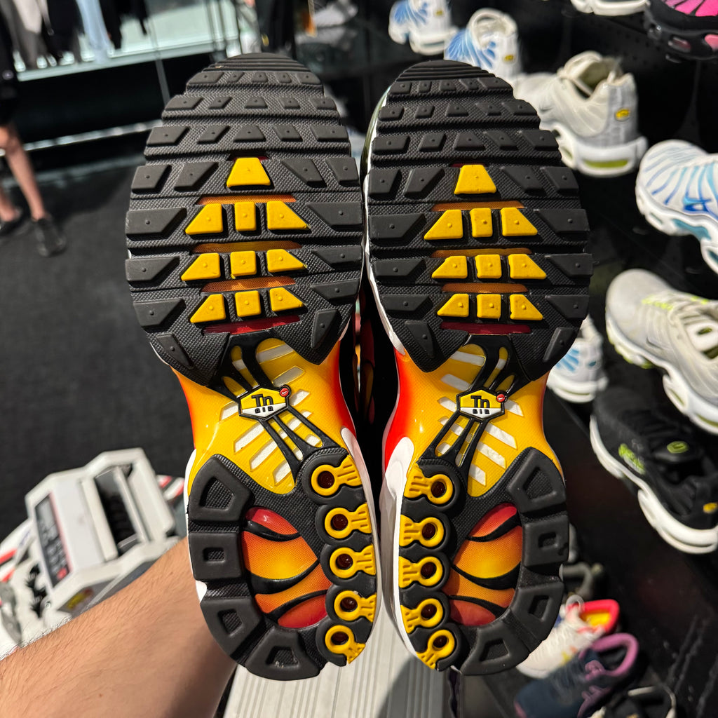 Nike Air Max Plus TN 'Rainbows' (Second hand)