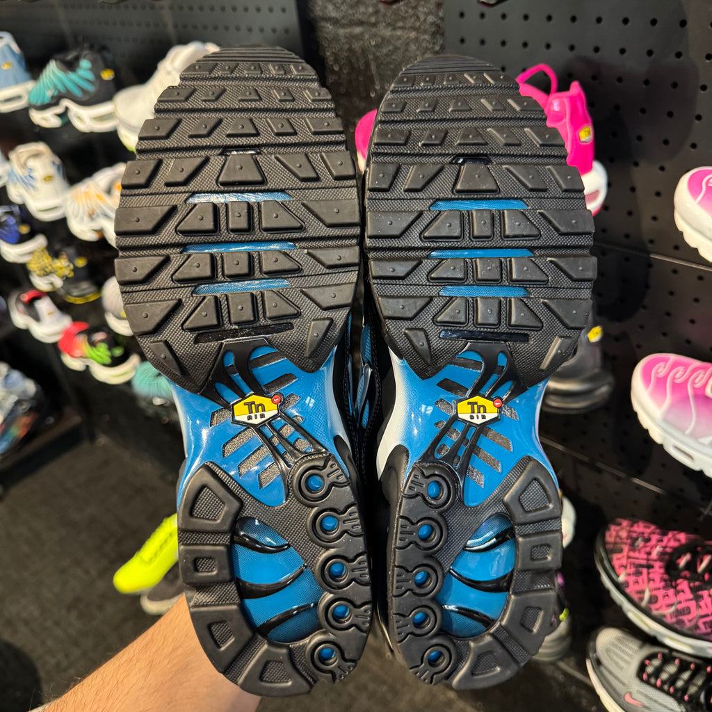 Nike Air Max Plus TN 'Neptune' (Brand New)