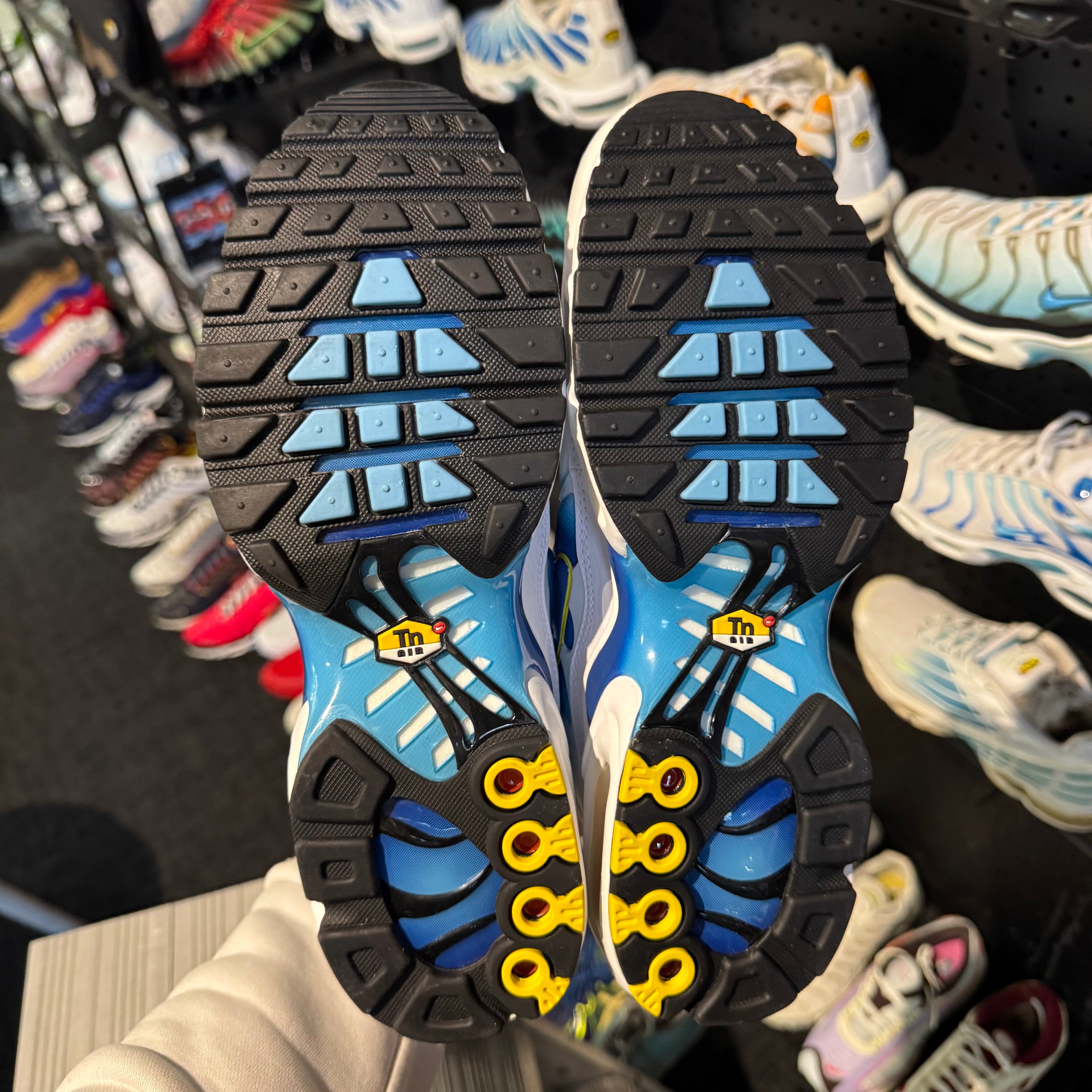 Nike Air Max Plus TN 'Blue Jay' (Brand New)