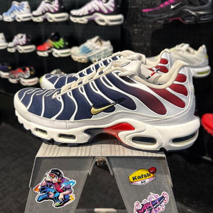 Nike Air Max Plus TN 'PSG' (Second hand)