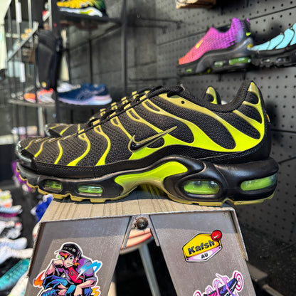 Nike Air Max Plus TN 'Pacific Moss' (Second hand)