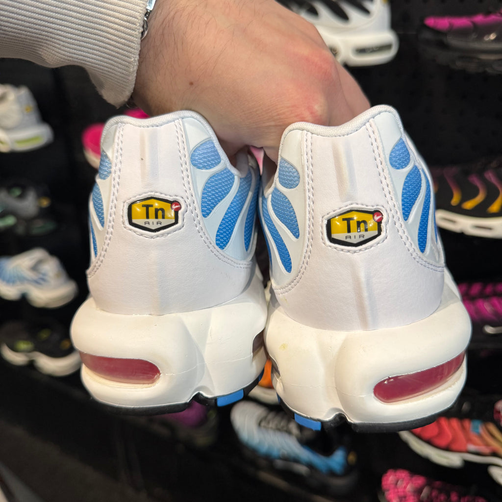 Nike Air Max Plus TN 'Tide' (Brand New)