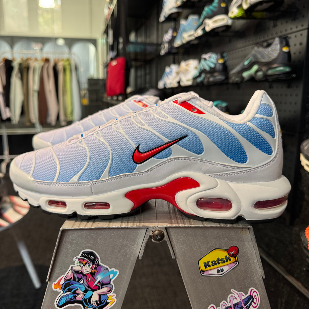 Nike Air Max Plus TN 'Tide' (Brand New)