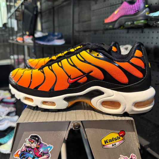 Nike Air Max Plus TN 'Tiger' (Second hand)