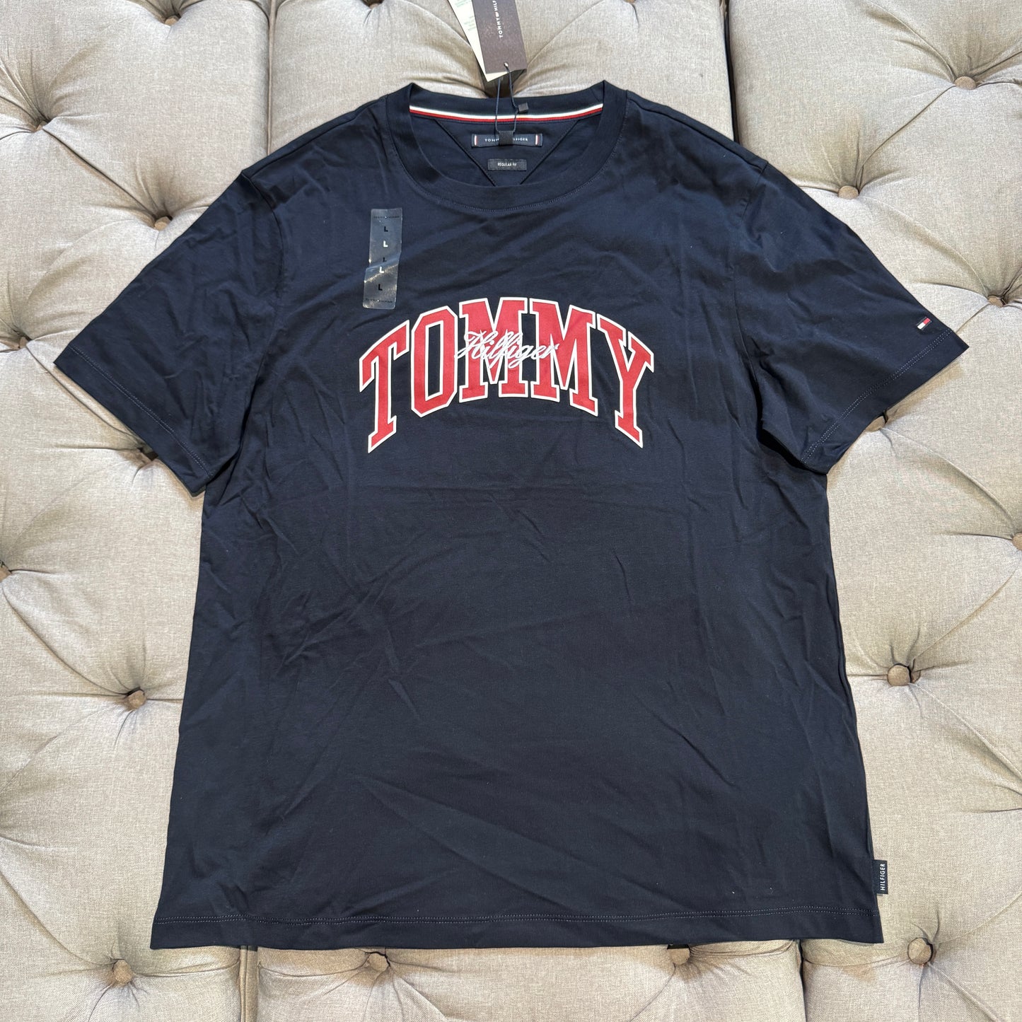 Tommy Hilfiger Regular Fit Arch Logo T-shirt 'Navy Red'