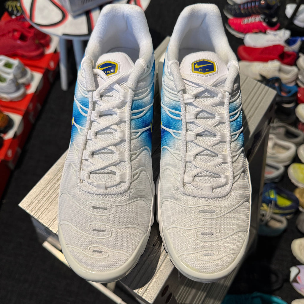 Nike Air Max Plus TN 'Blue Jay' (Brand New)